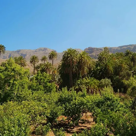 La Fuente De La Flora